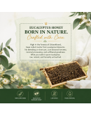 Eucalyptus Honey | Raw | Unheated | Unprocessed