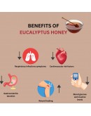 Eucalyptus Honey | Raw | Unheated | Unprocessed